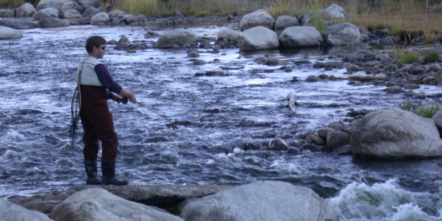 Fly Fisherman Yampa.jpg